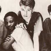 Orange Juice - List pictures