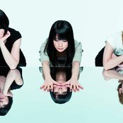 Chat Monchy - List pictures