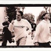 Dogwood - List pictures