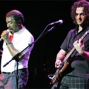 Dweezil Zappa - List pictures