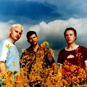 Red Snapper - List pictures