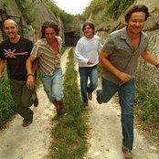 Kiscsillag - List pictures