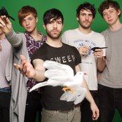 Foals - List pictures