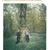 Gypsy And The Cat - List pictures