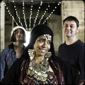 Orange Blossom - List pictures