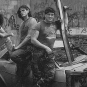 Carnivore - List pictures