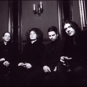 Black Light Burns - List pictures