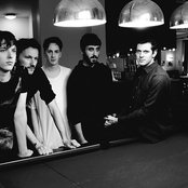 Wild Palms - List pictures