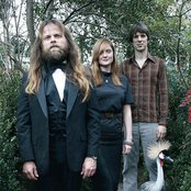 Shearwater - List pictures