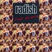 Radish - List pictures