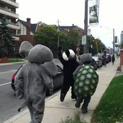 Old Major - List pictures