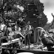 Cold Blood - List pictures