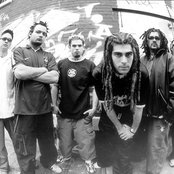 Ill Niño - List pictures