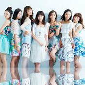 Flower - List pictures