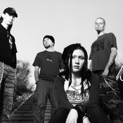 Dame - List pictures