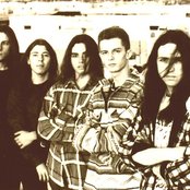 Novembre - List pictures