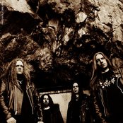 Unleashed - List pictures