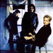 Tea Party - List pictures