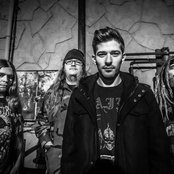 The Drip - List pictures