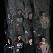 Dance Gavin Dance - List pictures