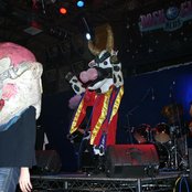 Green Jelly - List pictures