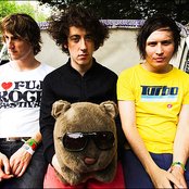 Wombats - List pictures
