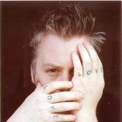 Baby Bird - List pictures