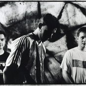 Disco Inferno - List pictures