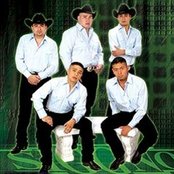 Siggno - List pictures