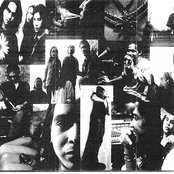 Flowers - List pictures