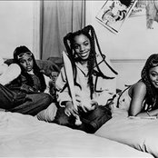 Cleopatra - List pictures