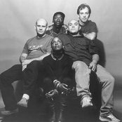 Baby Namboos - List pictures