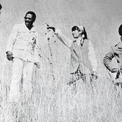 Friends Of Distinction - List pictures