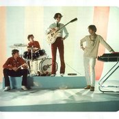 Monkeys - List pictures