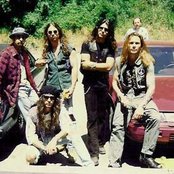 White Lion - List pictures