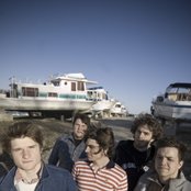 Seabird - List pictures