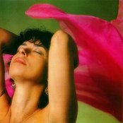 Nara Leão - List pictures