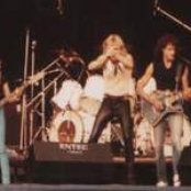 Praying Mantis - List pictures