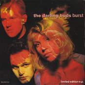 The Darling Buds - List pictures