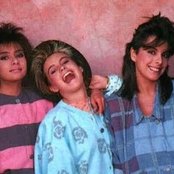 Flans - List pictures