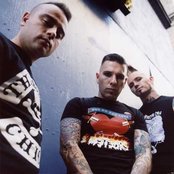 Tiger Army - List pictures