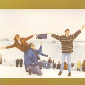 Arrogant Worms - List pictures