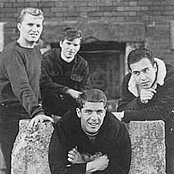 The Golliwogs - List pictures