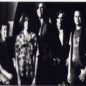 Beasts Of Bourbon - List pictures