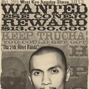 Conejo - List pictures