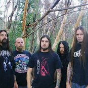 Disgorge - List pictures
