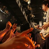 White Ash - List pictures