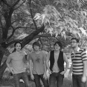 The Postelles - List pictures