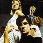 Go-betweens - List pictures