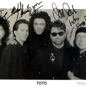 Toto - List pictures